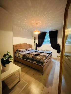 Comfortable, suitable apartment
